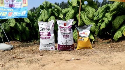 煙草死棵怎么辦,科學施肥助力&ldquo;煙都&rdquo;煙草增產提質